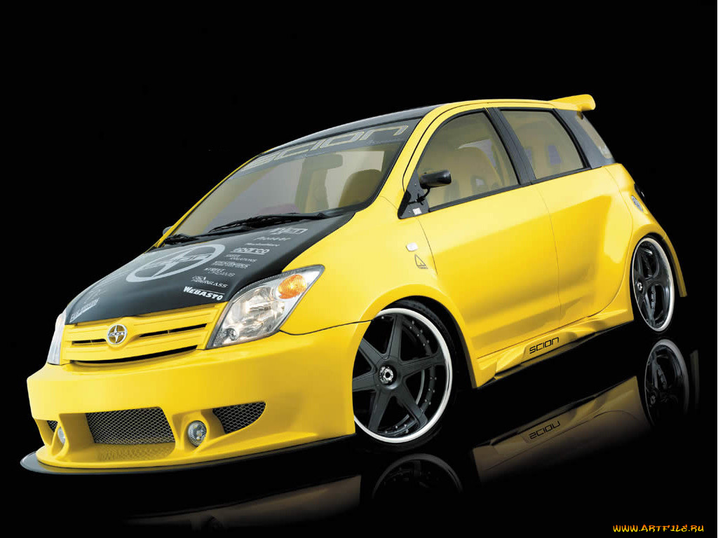 , scion